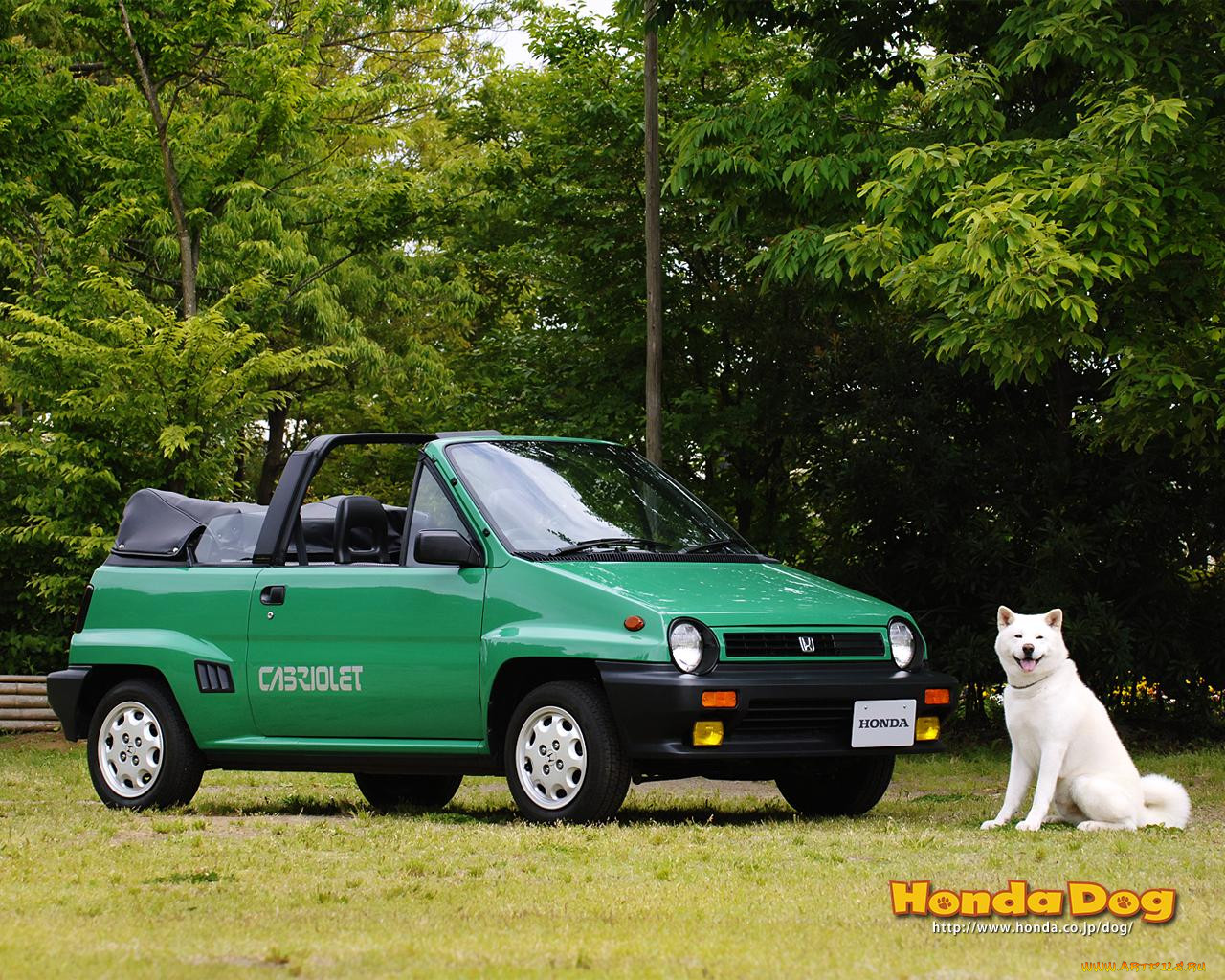 , honda